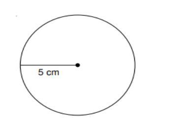 What is the Circumference of this circle-example-1