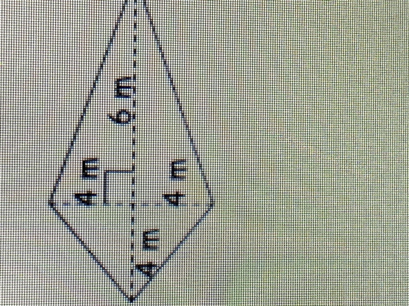 Can someone find the area of the kite?-example-1