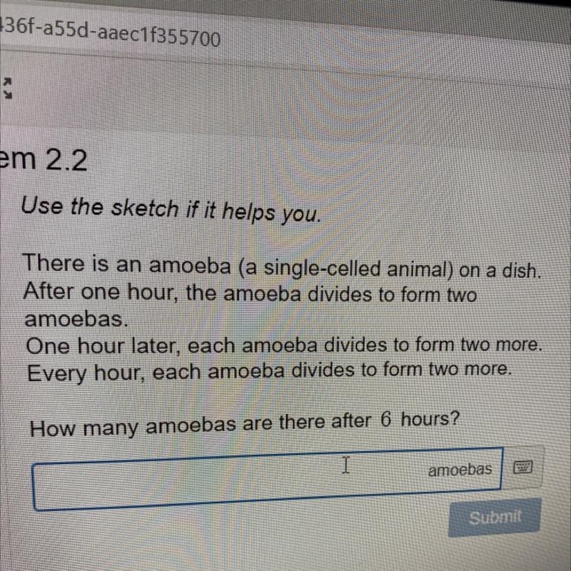 Sketch if it helps you. There is an amoeba (a single-celled animal) on a dish- After-example-1