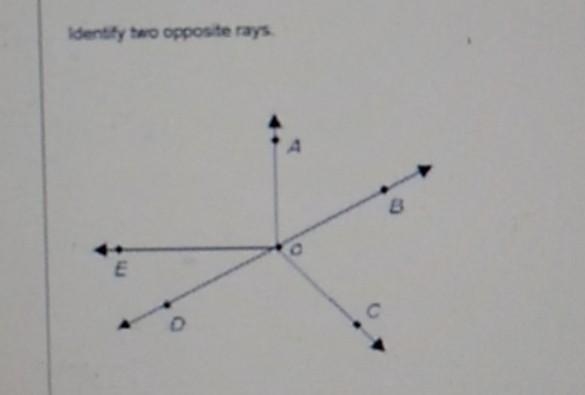 Identify two opposite rays.​-example-1