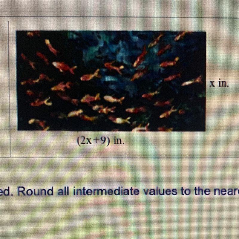 The painting shown at the right has an area of 260 in^2. What is the value of x?-example-1