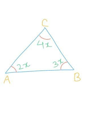 The angles of a triangle are in the ratio 2 : 3 : 4 . find the angles of the triangle-example-1