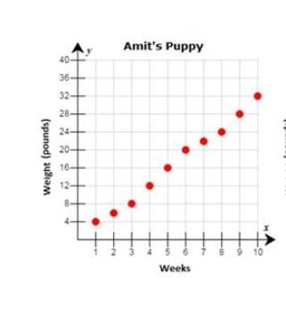 Does this graph show a function? why or why not?-example-1