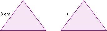 These triangles are congruent. What value is x?-example-1