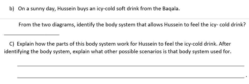 Help HELP please Thanks + brill-example-1