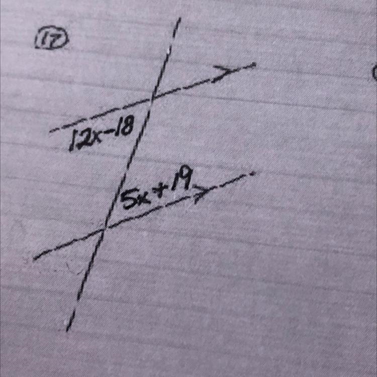 Helpppppp please find the value of x-example-1