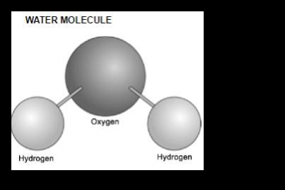 In science class, Carla made the model below. What could Carla show about the real-example-1