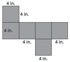 What is the surface area of the net?-example-1