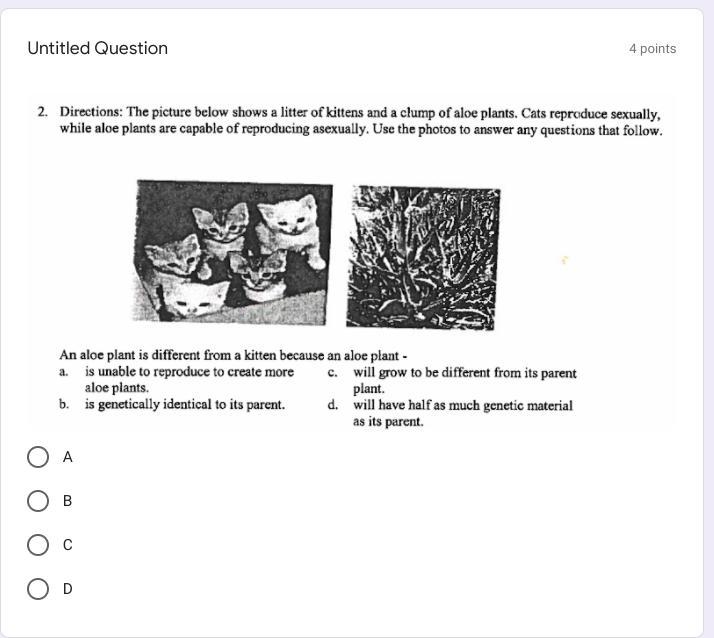 Can someone help me??-example-1