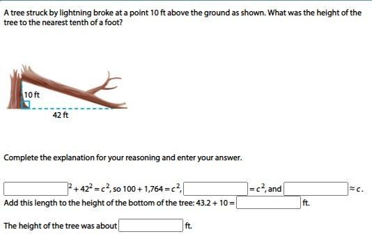 I'm so slow when it comes to math. can someone try to help me please no links-example-1