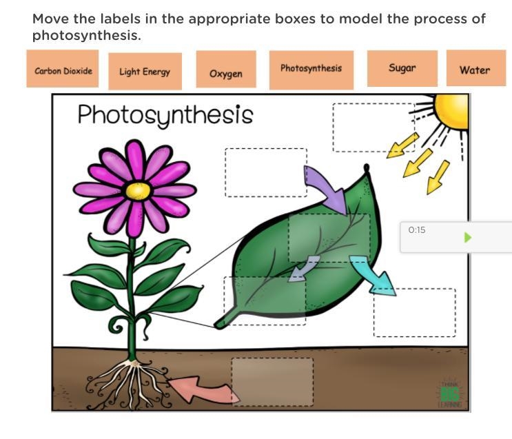 Can you please answer the question in picture-example-1