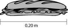 Gabby made a sandwich that is 0.20 meter long. Each bite that she takes has a length-example-1