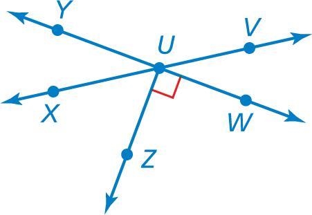 Using the diagram, find all the angle measures when the measure of angle XUY=40degrees-example-1