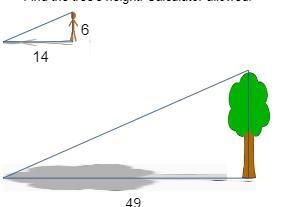 The man is 6 feet tall. His shadow is 14 feet long. The tree's shadow is 49 feet long-example-1