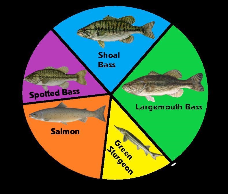 Wyatt catches 22 fish. look at the graph, what is the probability that Wyatt will-example-1