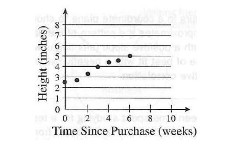 The scatter plot below shows a plant’s height over time. Based on the graph, what-example-1