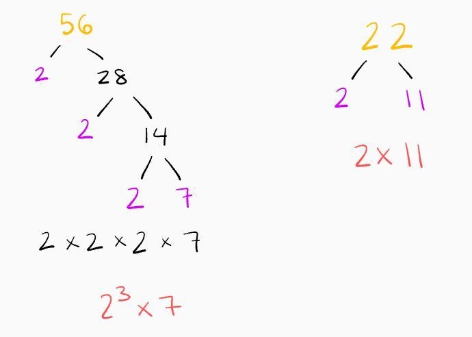 What is the Prime Factorization of 56 and 22-example-1