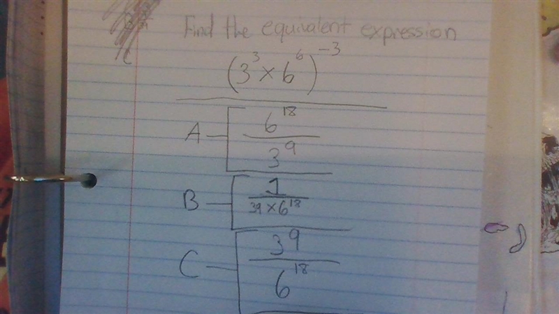 !!!please help quick!!!-example-1