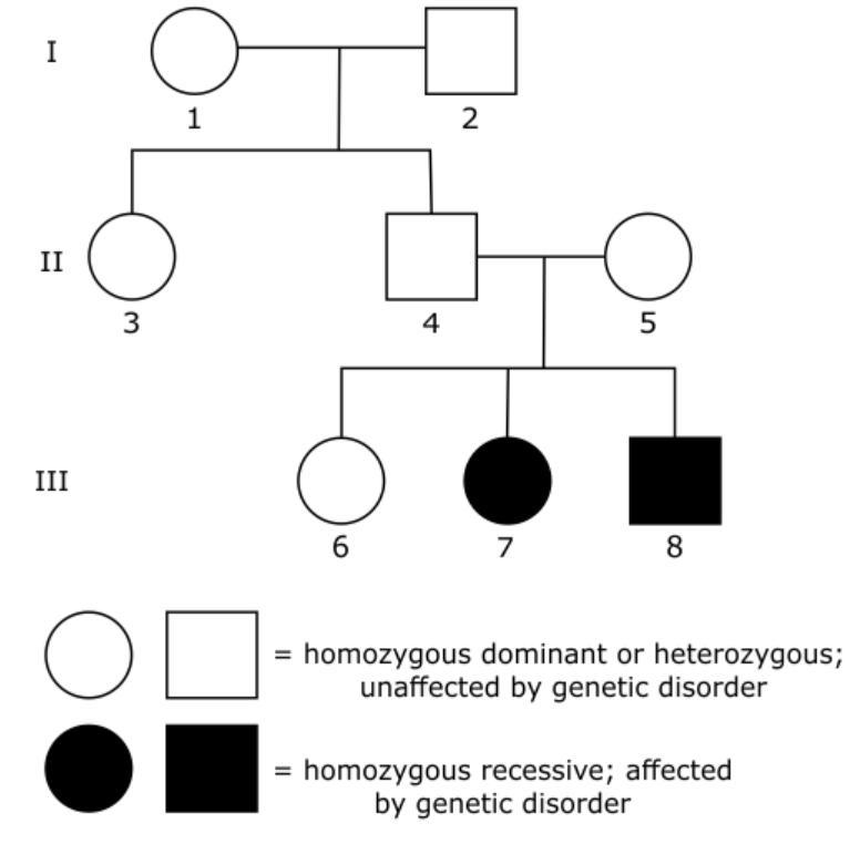 The diagram below shows a pedigree analysis for several generations of a family, in-example-1