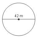 Find the circumference of the circle. Round to the nearest tenth if necessary. A. 21 m-example-1