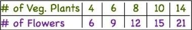 Write an equation to represent the proportional relationship between the # of Vegetable-example-1