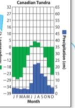 Use the space below to calculate the average monthly temperature in the Canadian tundra-example-1