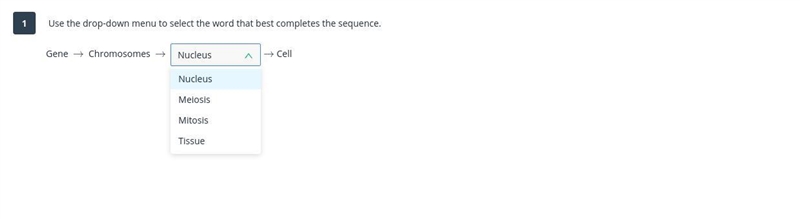 (2/2) WHich one is wrong, which one is correct? Only right answers only!-example-3