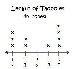 What is the total length of the tadpoles that are 1/8 inch and 1/4 inch long? 7/8 inches-example-1