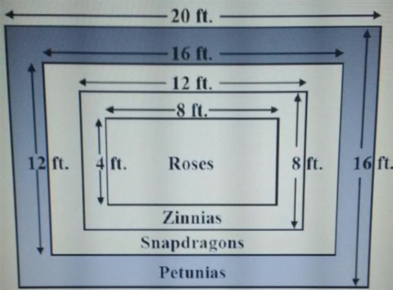 Find the area devoted to each type of flower-example-1