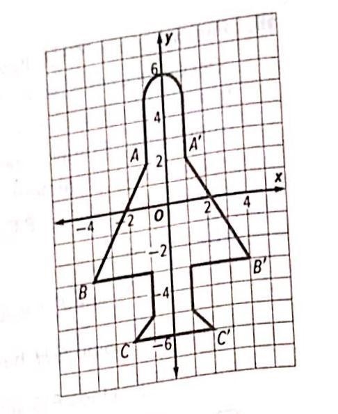 Cami drew part of a jet on the coordinate plane and then reflected what she had drawn-example-1