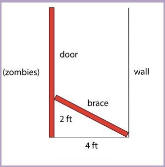 A man is trying to zombie-proof his house. He wants to cut a length of wood that will-example-1