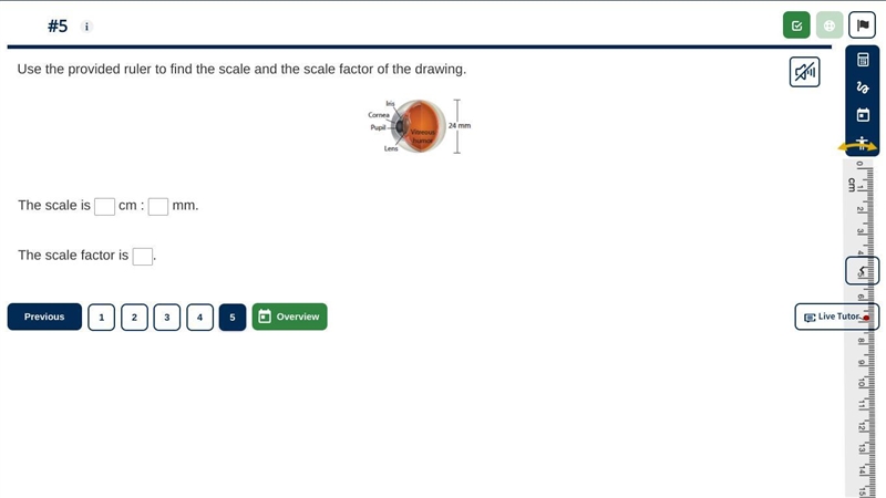 Please help me with this problem thank you-example-1