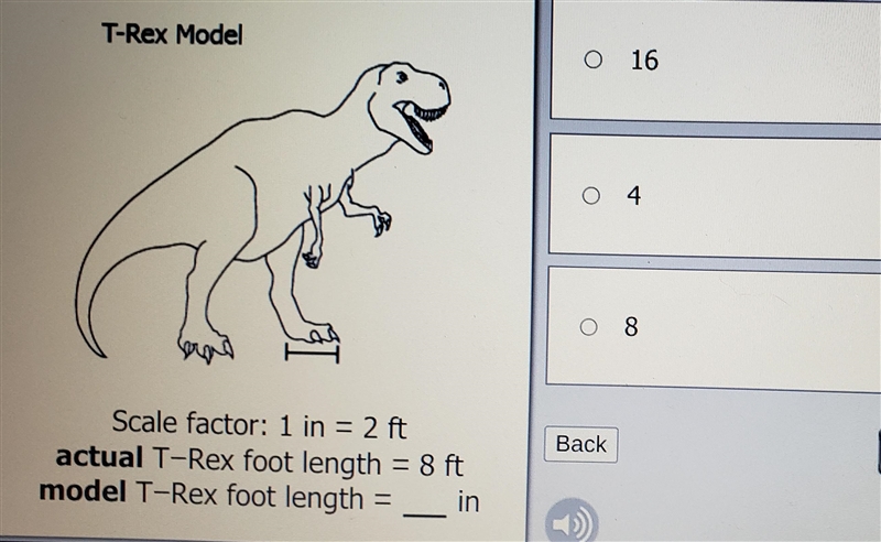 The answers have to b 16,4,or 8 pls help-example-1