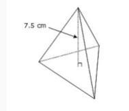 Celina built a model of a triangular pyramid. The model's height is shown in the diagram-example-1