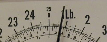 Identify the correct weight to the nearest 1/8 pound.-example-1