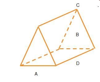 Which letter labels a vertex? A. A only B. B C. C D. A and D-example-1