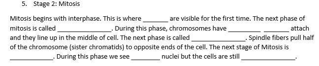 it is science but no one there has helped me yet. fill in the blanks, please!!! it-example-1