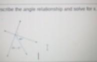 Describe the angle relationship and solve for x. ​-example-1