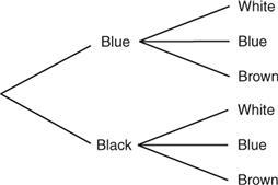 The diagram below shows that Stan has two pairs of jeans (one blue and one black) and-example-1