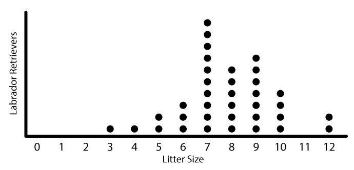 The following dot plot represents the litter sizes of a random sample of labrador-example-1