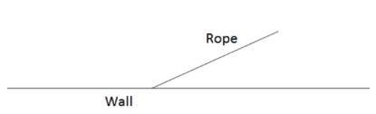 A 7 m rope is attached to the wall of a garage. A dog’s collar is attached to the-example-1