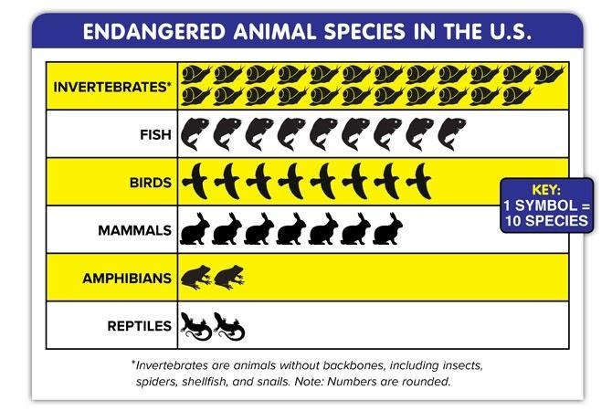 Hurry plzz In the pictograph below, what percent of endangered species are invertebrates-example-1