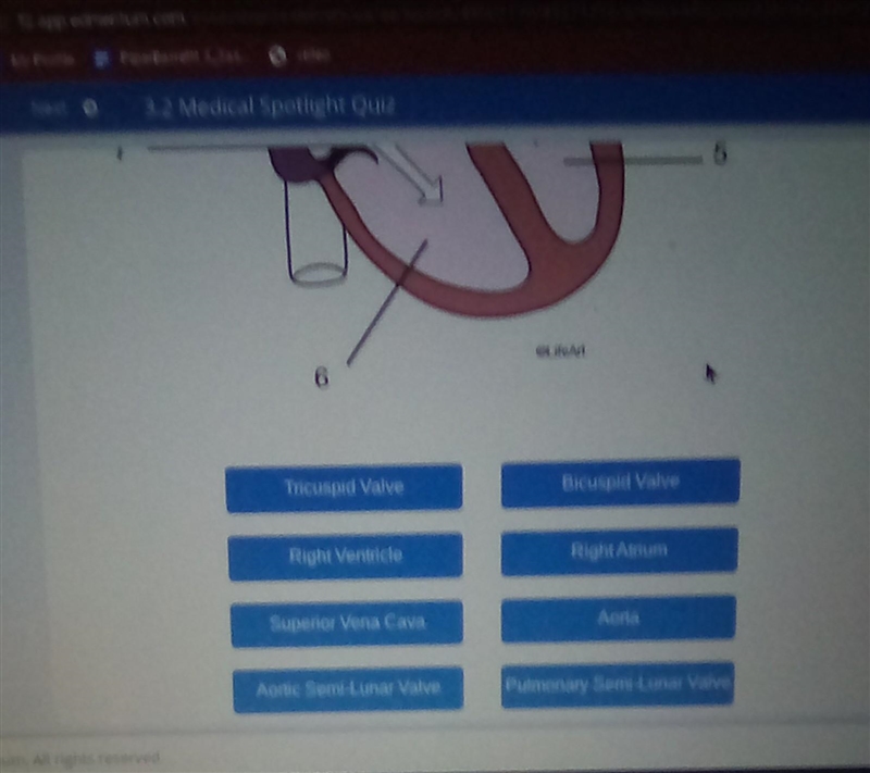 Match each part of the heart with the correct label ​-example-1