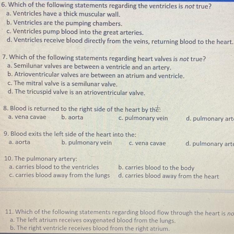 Med Term Questions pretty easy-example-1