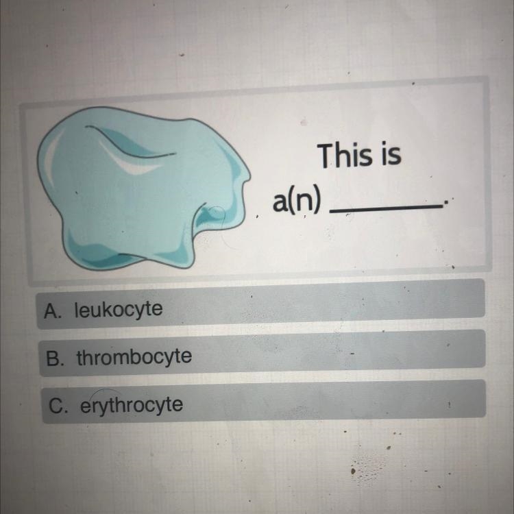 This is a(n) A. leukocyte B. thrombocyte C. erythrocyte-example-1