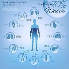 Water makes up between what present in your body?-example-1