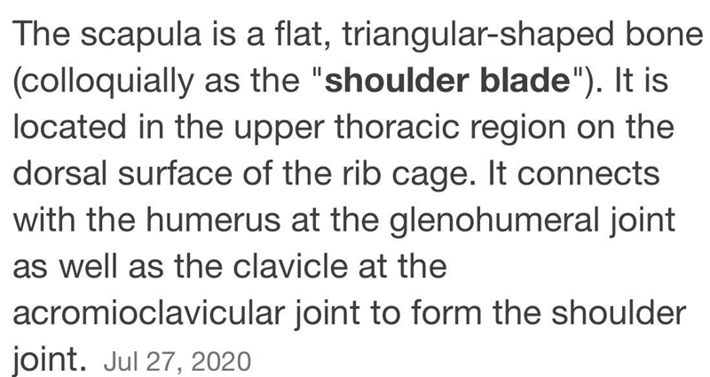 Help please Which of the following bones attaches directly to the scapula?-example-1