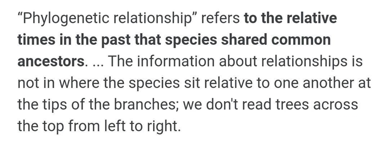 What is phylogenetic relationships?​-example-1