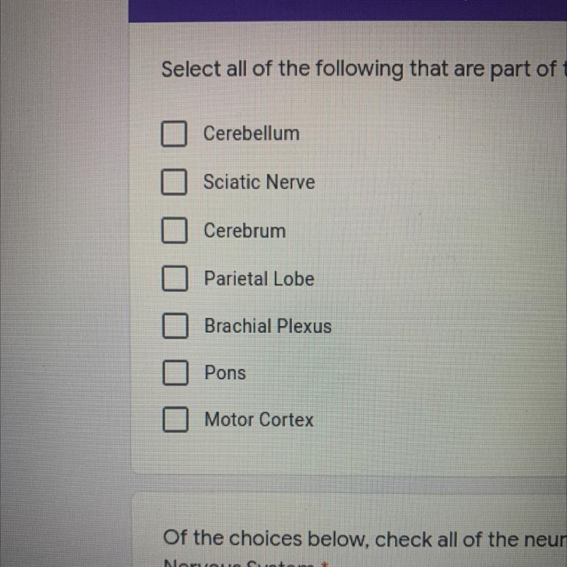 Select all of the following that are part of the Central Nervous System Cerebellum-example-1