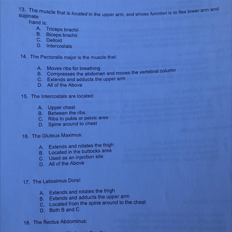 I also need # 12 this is the question . 12. The muscle that is located in front of-example-1